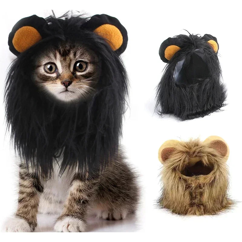 Cat Cosplay Dress Up