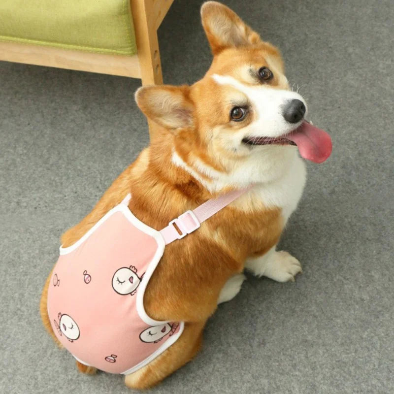 Pet Backpack Folding